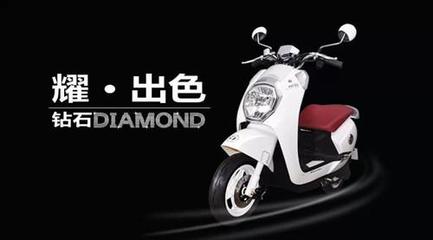 谁,才是电动车行业的领头羊?_中国电动车网手机站